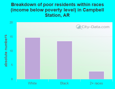 Breakdown of poor residents within races (income below poverty level) in Campbell Station, AR