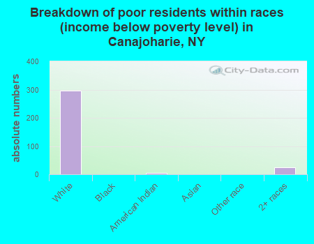 Breakdown of poor residents within races (income below poverty level) in Canajoharie, NY