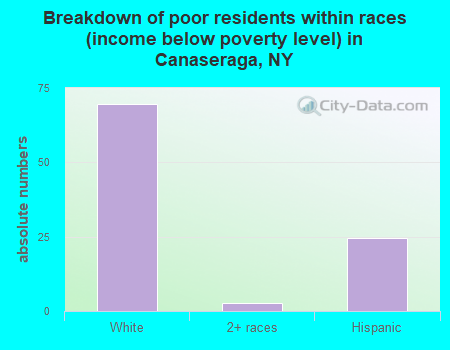 Breakdown of poor residents within races (income below poverty level) in Canaseraga, NY