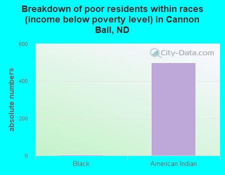 Breakdown of poor residents within races (income below poverty level) in Cannon Ball, ND