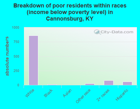 Breakdown of poor residents within races (income below poverty level) in Cannonsburg, KY