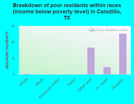 Breakdown of poor residents within races (income below poverty level) in Canutillo, TX