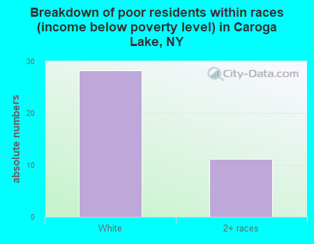 Breakdown of poor residents within races (income below poverty level) in Caroga Lake, NY