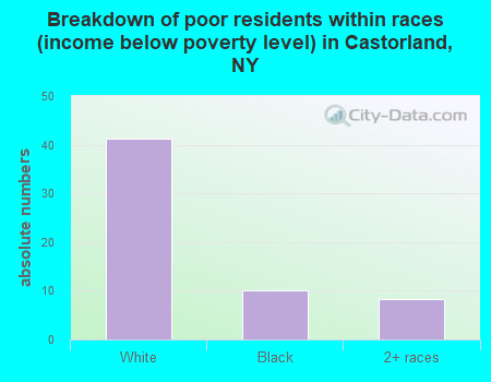 Breakdown of poor residents within races (income below poverty level) in Castorland, NY