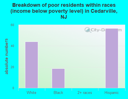 Breakdown of poor residents within races (income below poverty level) in Cedarville, NJ