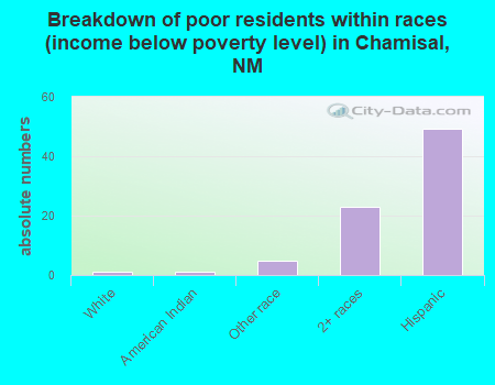 Breakdown of poor residents within races (income below poverty level) in Chamisal, NM