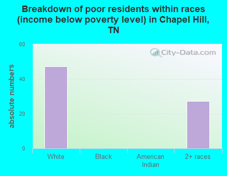Breakdown of poor residents within races (income below poverty level) in Chapel Hill, TN