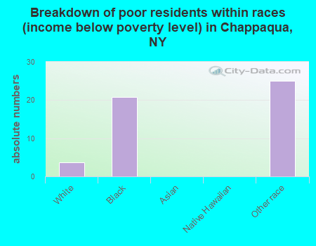 Breakdown of poor residents within races (income below poverty level) in Chappaqua, NY