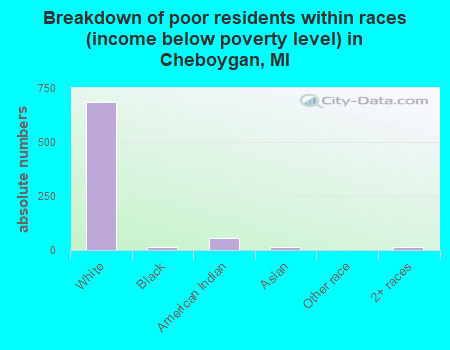 Breakdown of poor residents within races (income below poverty level) in Cheboygan, MI