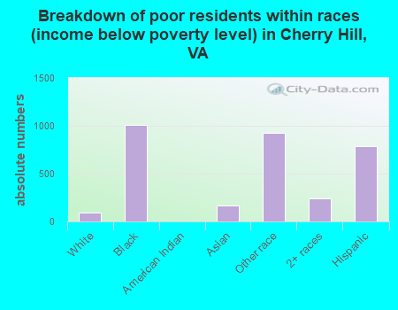 Breakdown of poor residents within races (income below poverty level) in Cherry Hill, VA