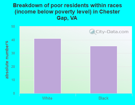 Breakdown of poor residents within races (income below poverty level) in Chester Gap, VA