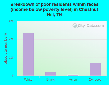 Breakdown of poor residents within races (income below poverty level) in Chestnut Hill, TN