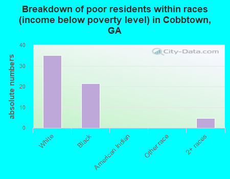 Breakdown of poor residents within races (income below poverty level) in Cobbtown, GA