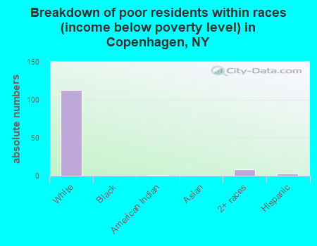 Breakdown of poor residents within races (income below poverty level) in Copenhagen, NY