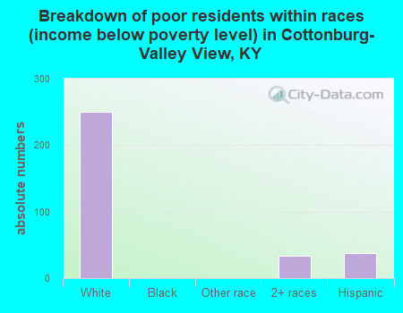 Breakdown of poor residents within races (income below poverty level) in Cottonburg-Valley View, KY