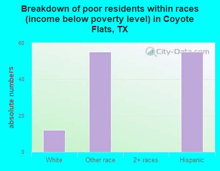 Breakdown of poor residents within races (income below poverty level) in Coyote Flats, TX