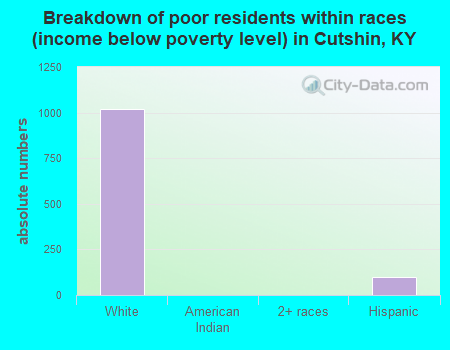 Breakdown of poor residents within races (income below poverty level) in Cutshin, KY