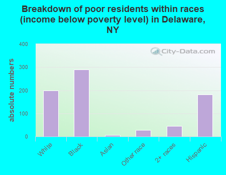 Breakdown of poor residents within races (income below poverty level) in Delaware, NY