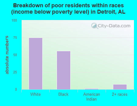 Breakdown of poor residents within races (income below poverty level) in Detroit, AL