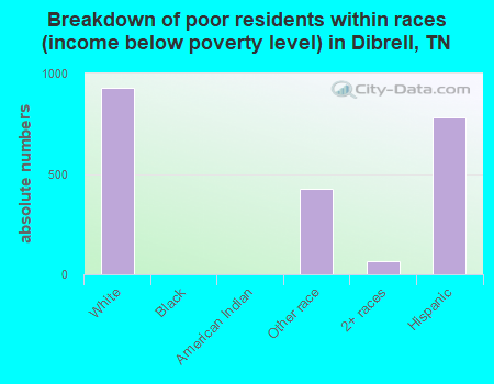 Breakdown of poor residents within races (income below poverty level) in Dibrell, TN