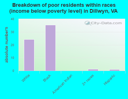 Breakdown of poor residents within races (income below poverty level) in Dillwyn, VA