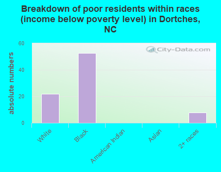 Breakdown of poor residents within races (income below poverty level) in Dortches, NC