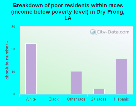 Breakdown of poor residents within races (income below poverty level) in Dry Prong, LA