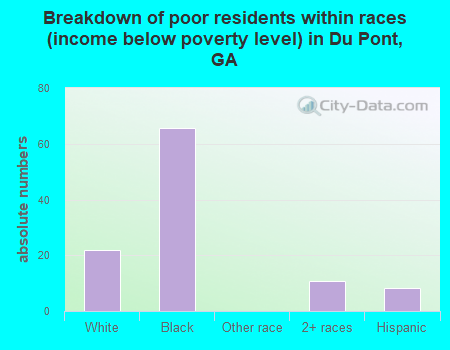 Breakdown of poor residents within races (income below poverty level) in Du Pont, GA