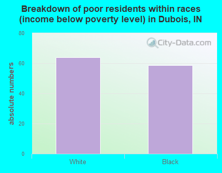 Breakdown of poor residents within races (income below poverty level) in Dubois, IN