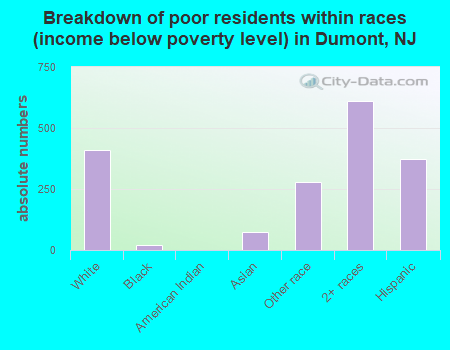 Breakdown of poor residents within races (income below poverty level) in Dumont, NJ