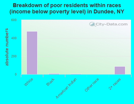 Breakdown of poor residents within races (income below poverty level) in Dundee, NY