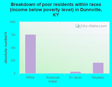 Breakdown of poor residents within races (income below poverty level) in Dunnville, KY