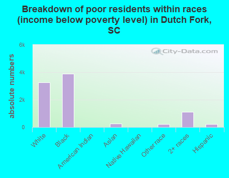 Breakdown of poor residents within races (income below poverty level) in Dutch Fork, SC