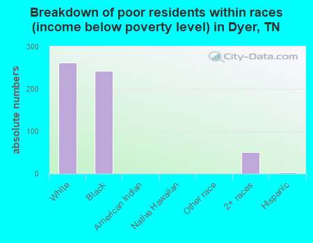 Breakdown of poor residents within races (income below poverty level) in Dyer, TN