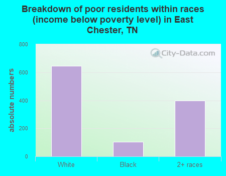 Breakdown of poor residents within races (income below poverty level) in East Chester, TN