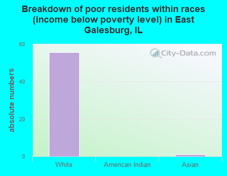 Breakdown of poor residents within races (income below poverty level) in East Galesburg, IL