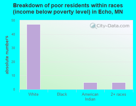 Breakdown of poor residents within races (income below poverty level) in Echo, MN