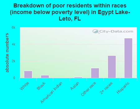 Breakdown of poor residents within races (income below poverty level) in Egypt Lake-Leto, FL