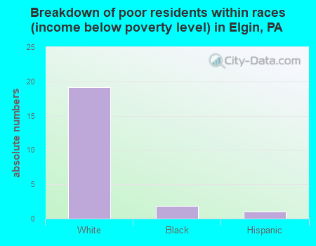Breakdown of poor residents within races (income below poverty level) in Elgin, PA