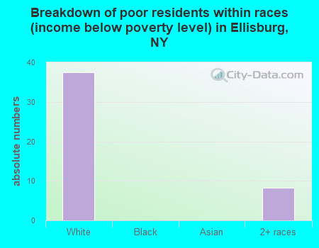 Breakdown of poor residents within races (income below poverty level) in Ellisburg, NY