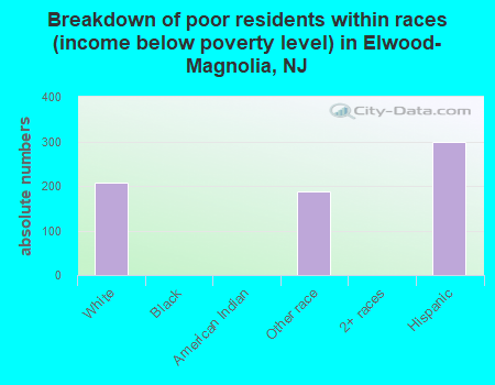 Breakdown of poor residents within races (income below poverty level) in Elwood-Magnolia, NJ