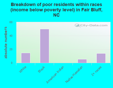 Breakdown of poor residents within races (income below poverty level) in Fair Bluff, NC
