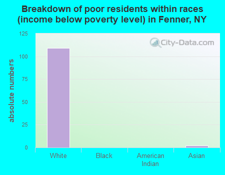 Breakdown of poor residents within races (income below poverty level) in Fenner, NY
