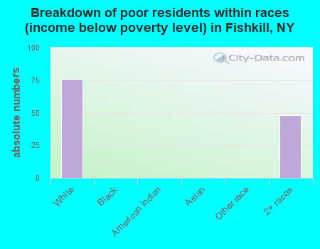 Breakdown of poor residents within races (income below poverty level) in Fishkill, NY
