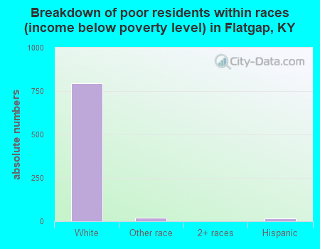 Breakdown of poor residents within races (income below poverty level) in Flatgap, KY