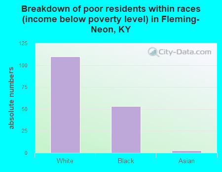 Breakdown of poor residents within races (income below poverty level) in Fleming-Neon, KY