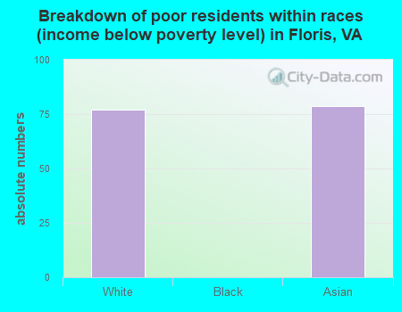 Breakdown of poor residents within races (income below poverty level) in Floris, VA