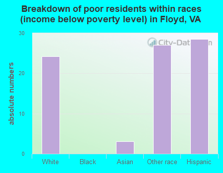 Breakdown of poor residents within races (income below poverty level) in Floyd, VA