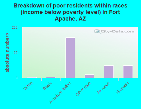 Breakdown of poor residents within races (income below poverty level) in Fort Apache, AZ