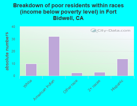 Breakdown of poor residents within races (income below poverty level) in Fort Bidwell, CA
